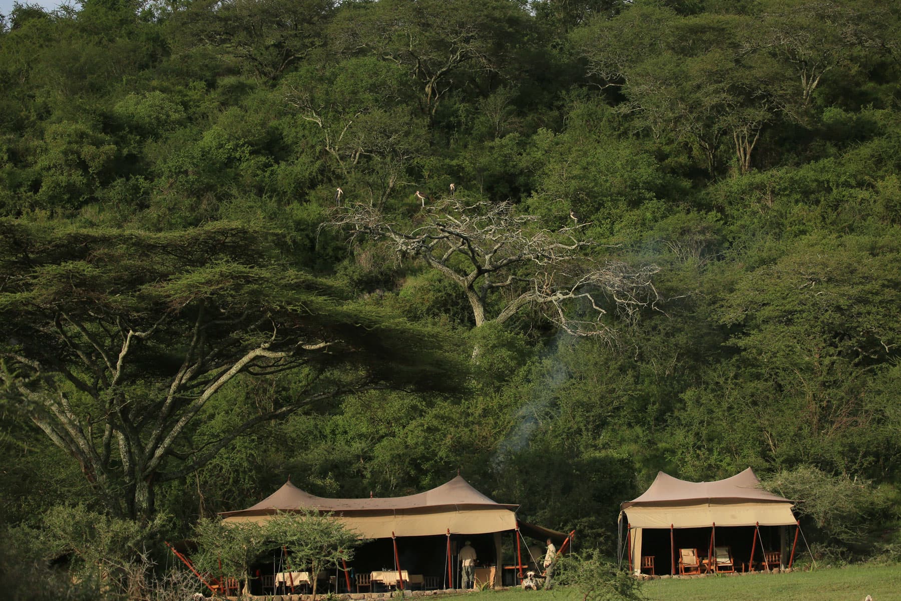Luxury safari accommodation style