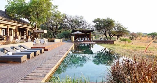 Serengeti House