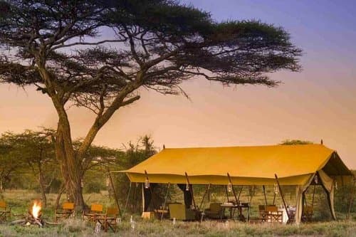 Serengeti Under Canvas